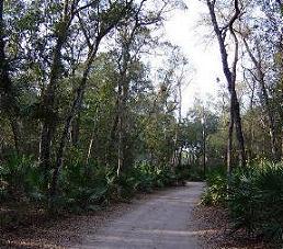 The road to Faver-Dykes.