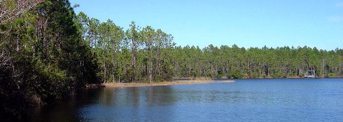 Pellicer Pond