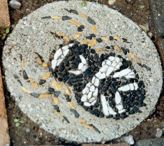 Spider Stepping Stone