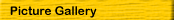 Picture Gallery