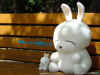 rabbit01.jpg (410328 Ӧ줸)