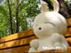 rabbit02.jpg (559479 Ӧ줸)