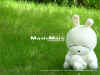 rabbit04.jpg (415262 Ӧ줸)