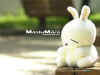 rabbit15.jpg (239486 Ӧ줸)