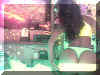 Pict0035.jpg (42661 bytes)