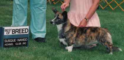 emmie.jpg (17055 bytes)