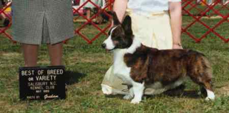 rowdy.jpg (11781 bytes)