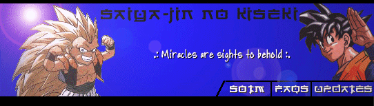 SoK's Banner