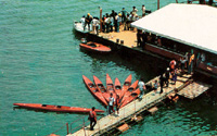 Click here to enlarge picture