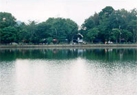 Click here to enlarge picture