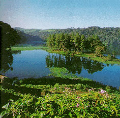 Click here to enlarge picture