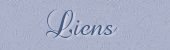 liens.jpg (1761 octets)