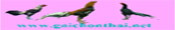 Gaichonthai.Net