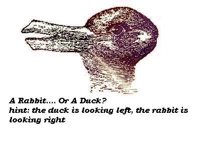 OPTICAL ILLUSION