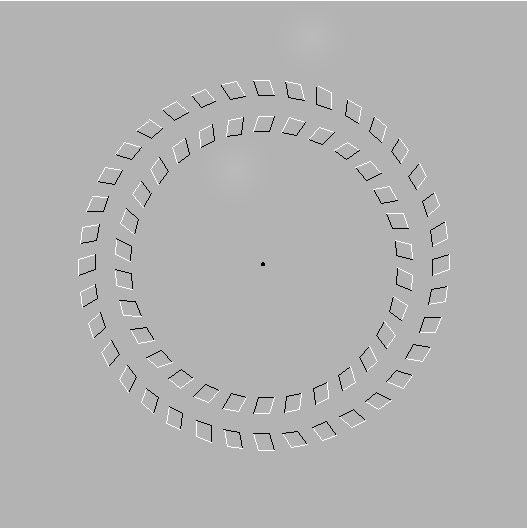 OPTICAL ILLUSION