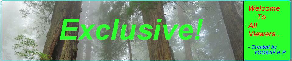 ** EXCLUSIVE! **