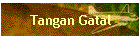 Tangan Gatal