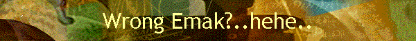 Wrong Emak?..hehe..