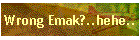Wrong Emak?..hehe..