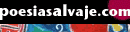 poesiasalvaje.com