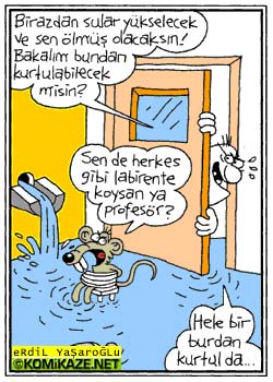 deliprofesor