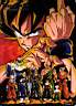 DBZ.PencilCard.GokuCast.jpg