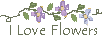 I love flowers