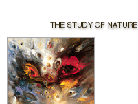 the study of nature