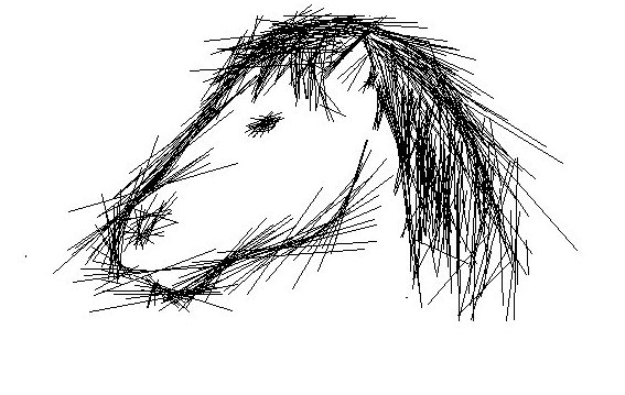horse