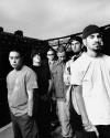 Photo Gallery