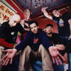 Photo Gallery