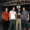 Photo Gallery