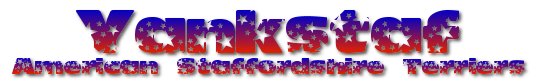 Yankstaf