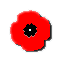 Rememberance Day - November 11th