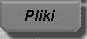 Pliki