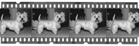 B&W Neg Strip