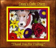 Casey's Celtic Charm