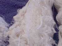 dog-rope-3.jpg (7001 bytes)