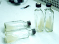 bottle.jpg (11516 bytes)