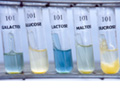ferment01.jpg (12898 bytes)