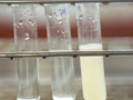 inositol01.jpg (11746 bytes)