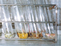 tube07.jpg (14656 bytes)