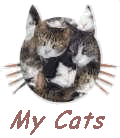 1. select Cat's Album; 2. Look for the Slide-Show