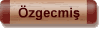 zgecmi