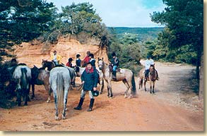 Horse riding tour