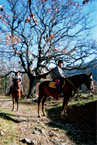 Horseback Riding Tours