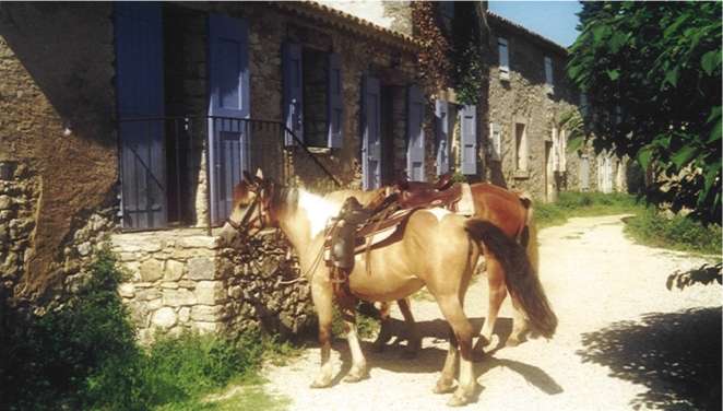 House rental Provence