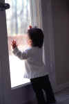 chi-baby at window-02.jpg (138375 bytes)