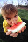 chi-watermelon-02.jpg (37056 bytes)