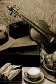 sti-violin-sepia-lr.jpg (73183 bytes)